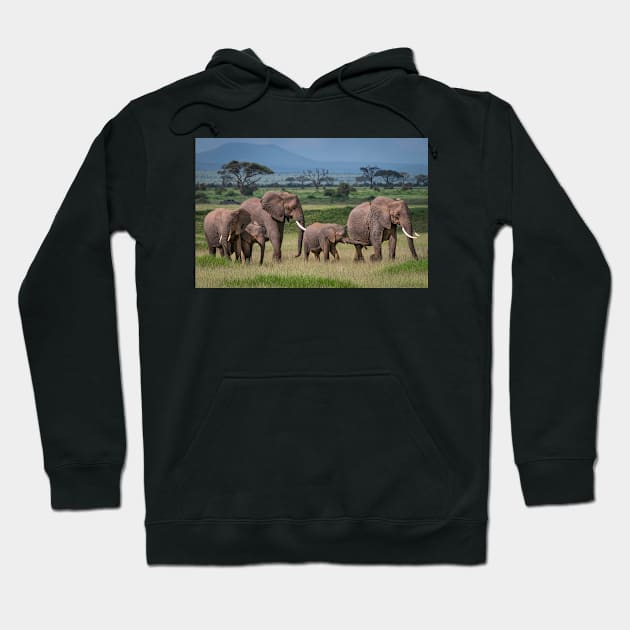 Amboseli National Park Hoodie by bkbuckley